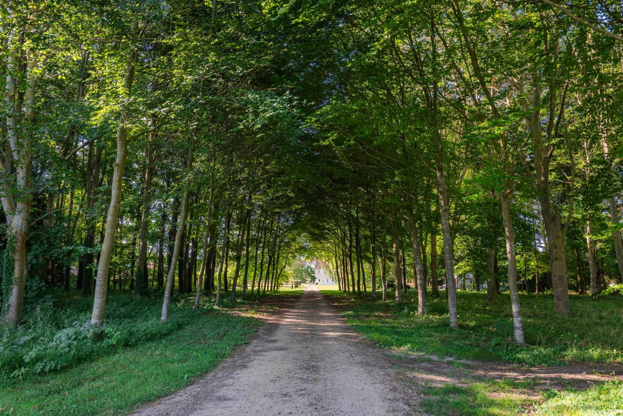 Maison "Jardin Gaillard" Bieville-en-Auge Bagian luar foto
